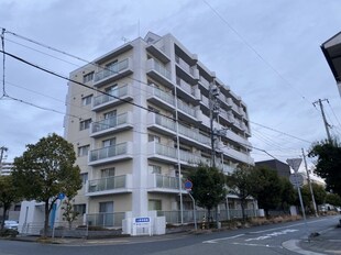 手柄駅 徒歩9分 4階の物件内観写真